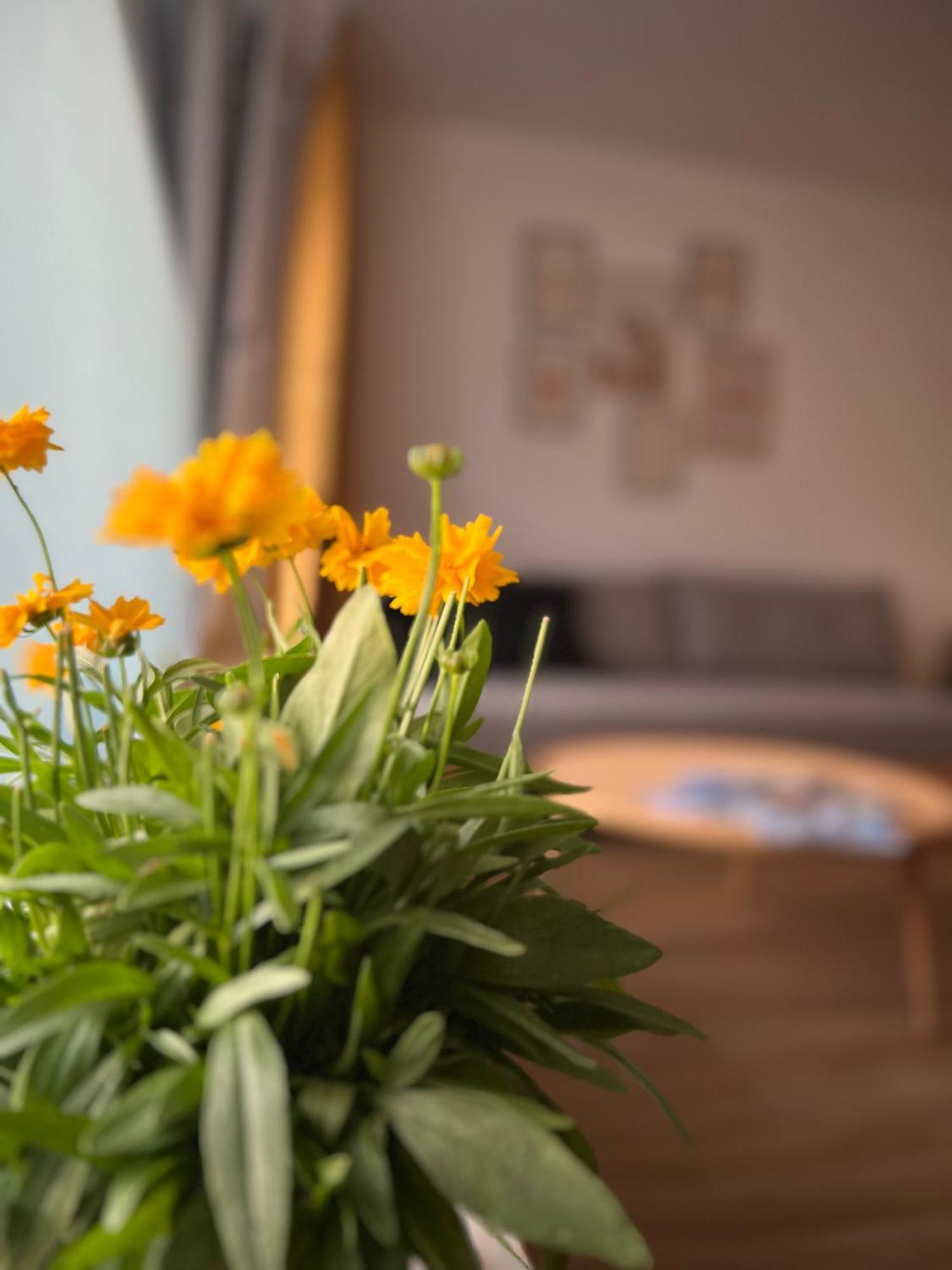 Ferienwohnung Sonneck Oberstaufen Zewnętrze zdjęcie